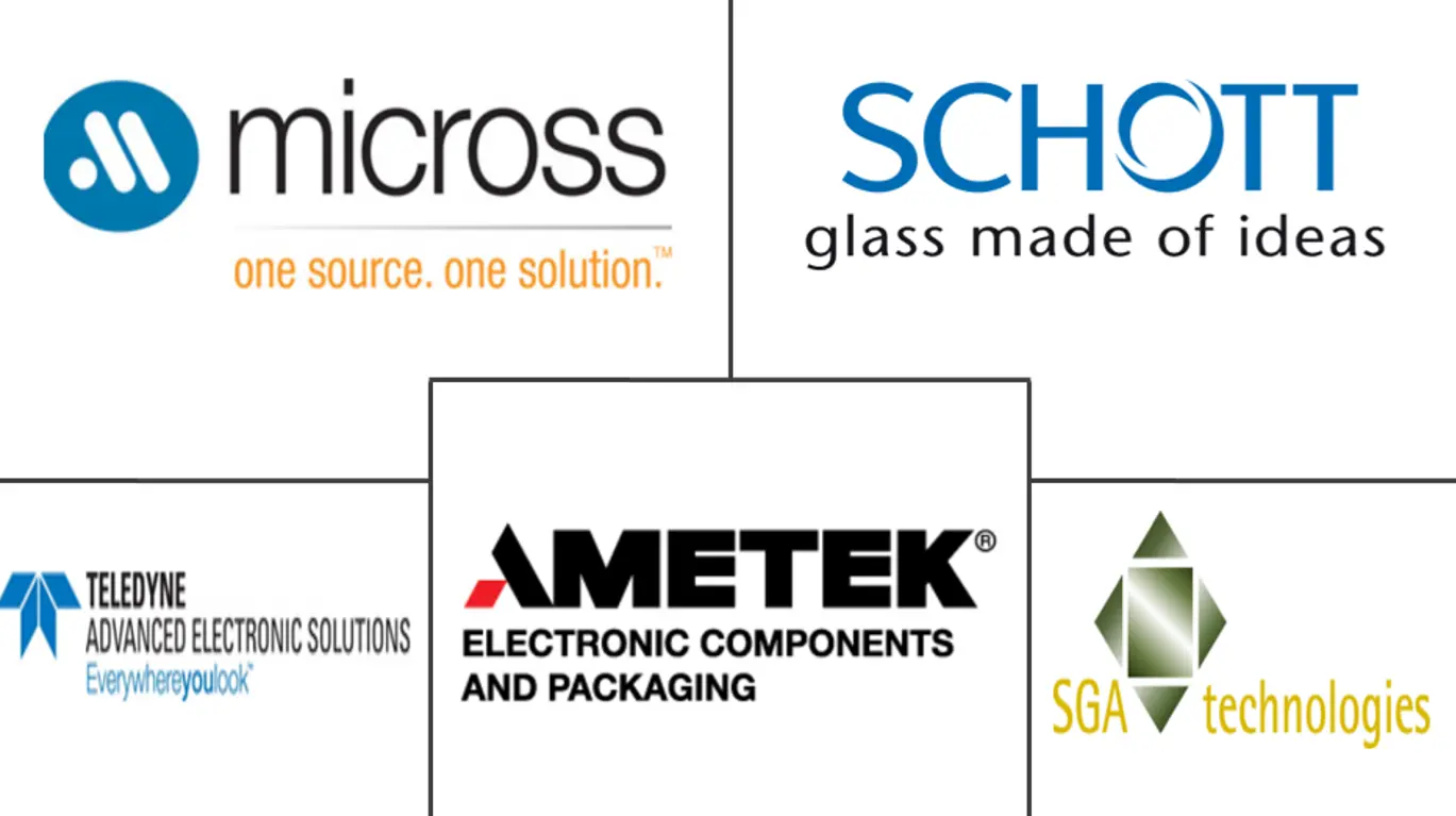 气密包装市场规模