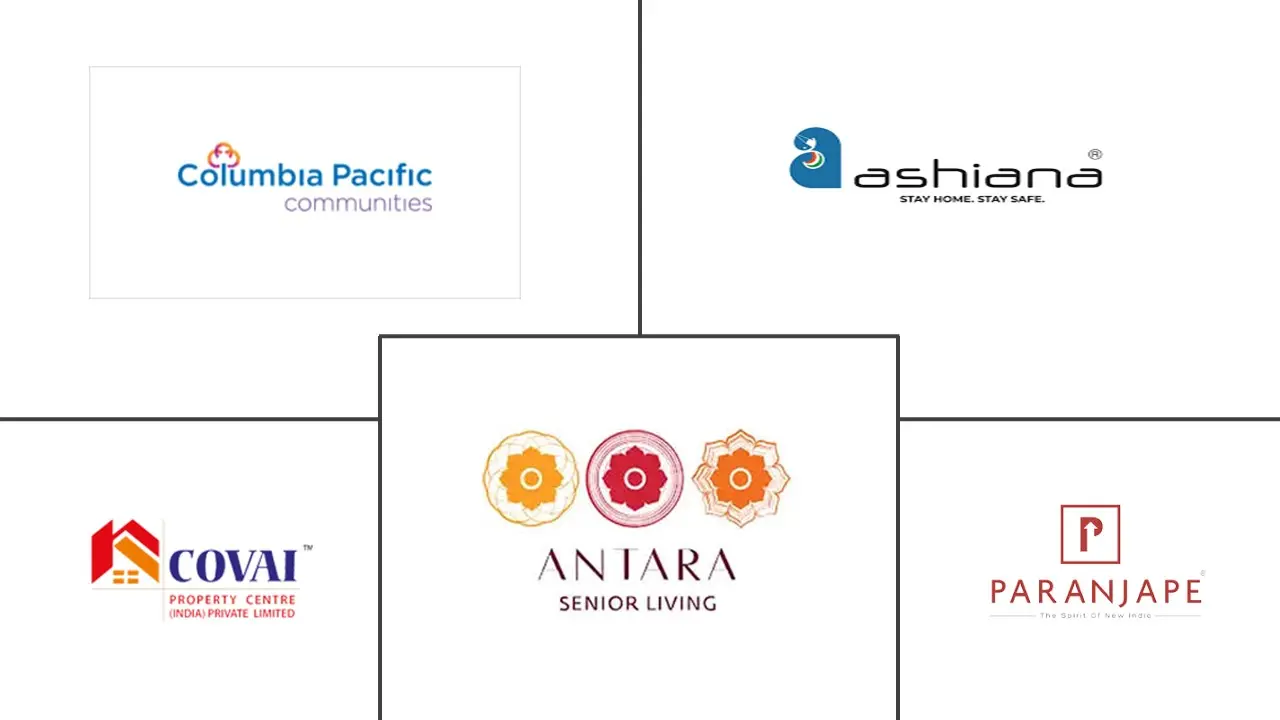 印度养老市场规模及份额