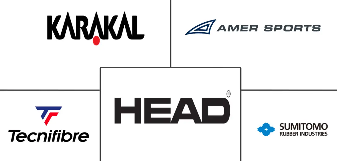 壁球拍市场规模和份额