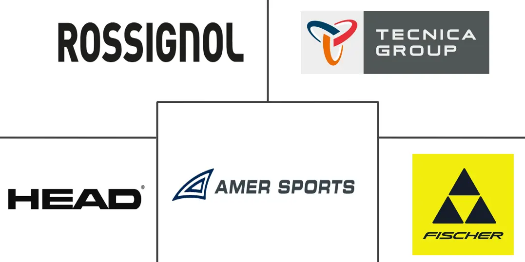 欧洲滑雪装备和设备市场规模及份额分析