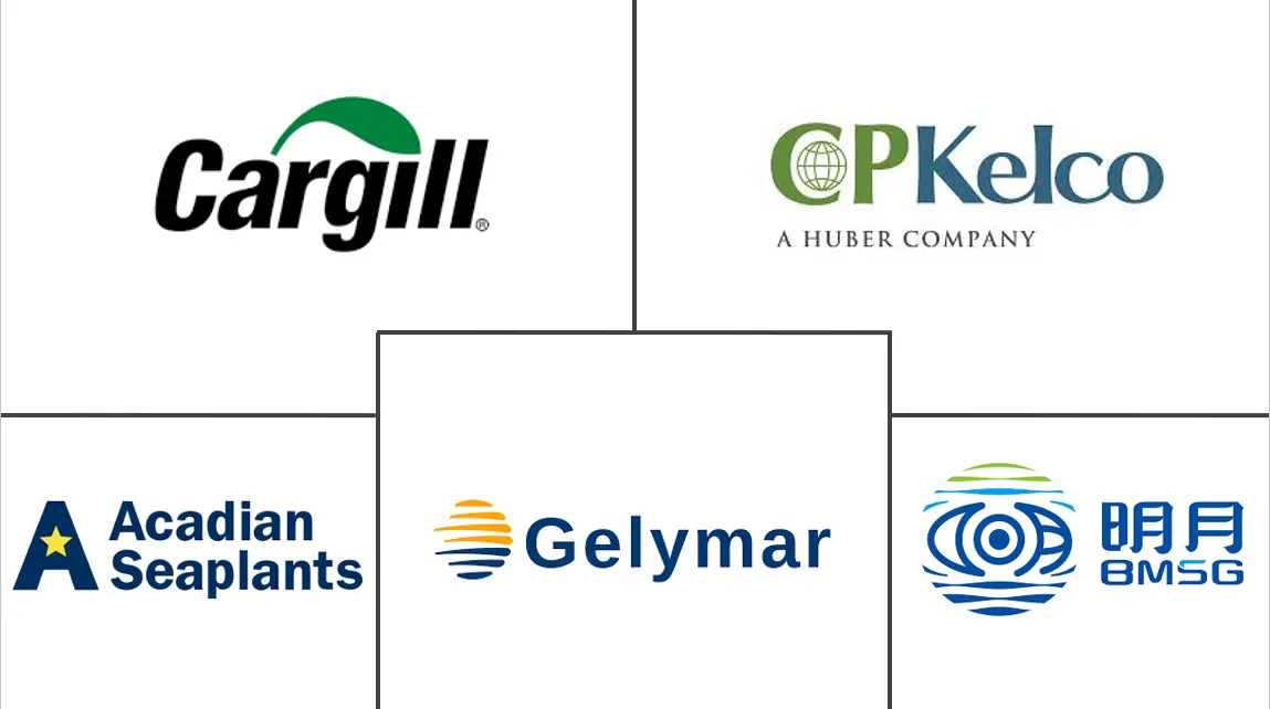 商业海藻市场规模和份额