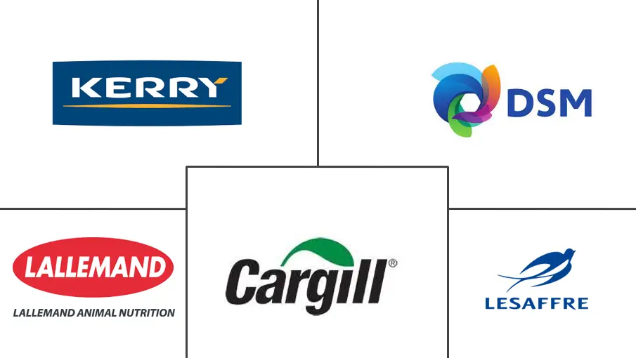 墨西哥减钠成分市场规模