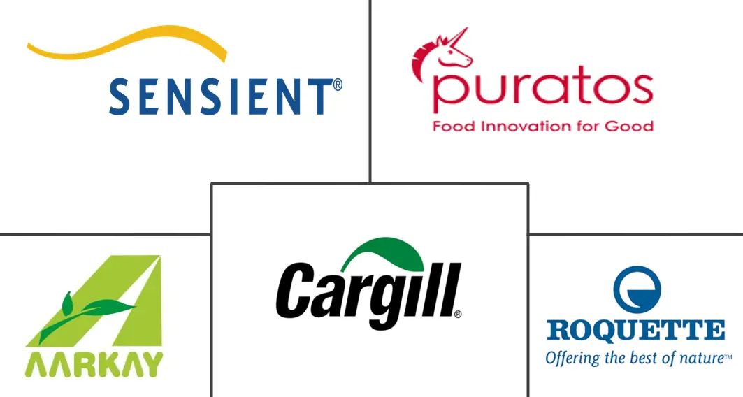 焦糖原料市场规模及份额
