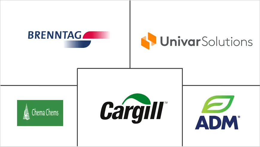 埃及酸化剂市场规模