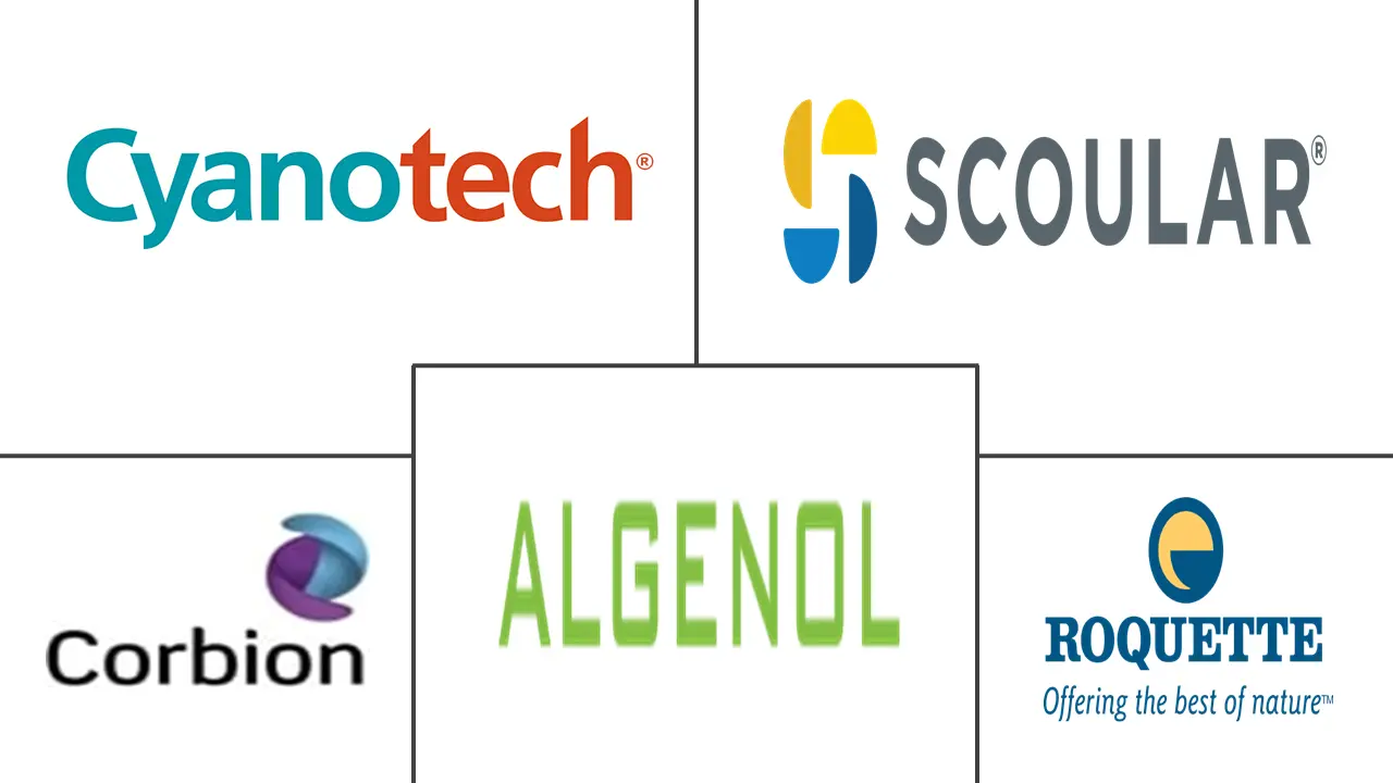 北美微生物蛋白市场规模