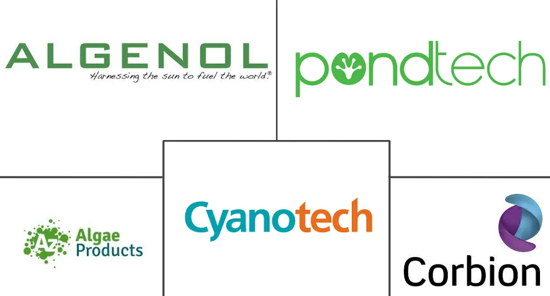 北美藻类蛋白市场规模