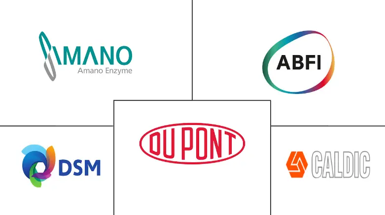 欧洲酿造酶市场规模