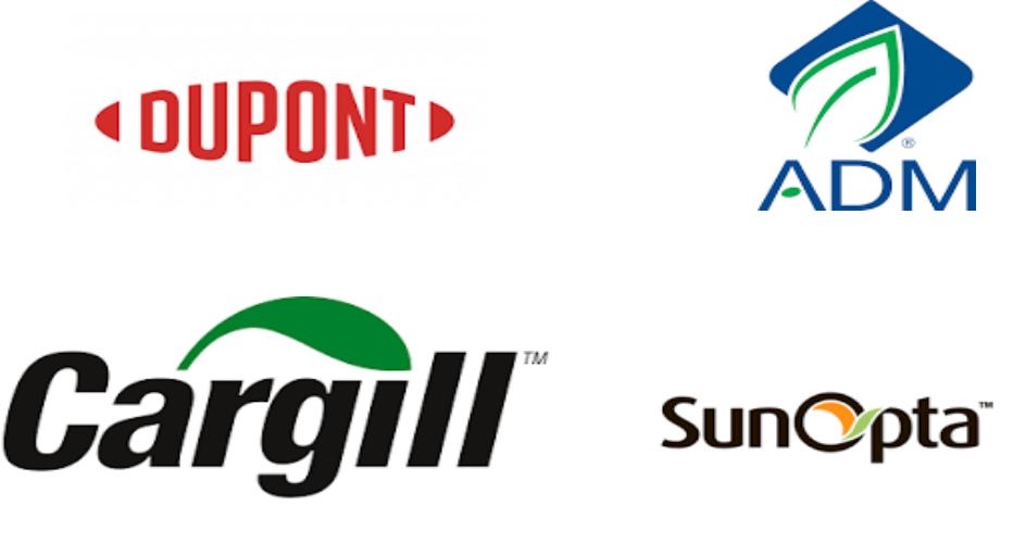 大豆粉市场规模