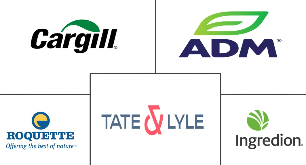 淀粉衍生物市场规模和份额