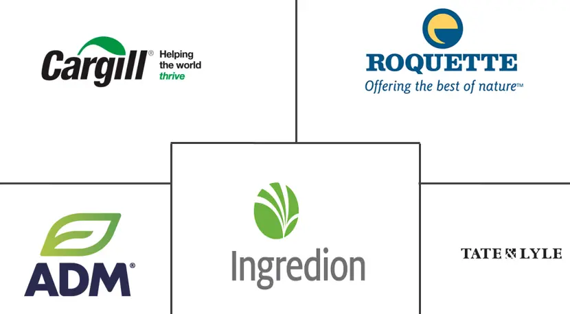 北美淀粉衍生物市场规模