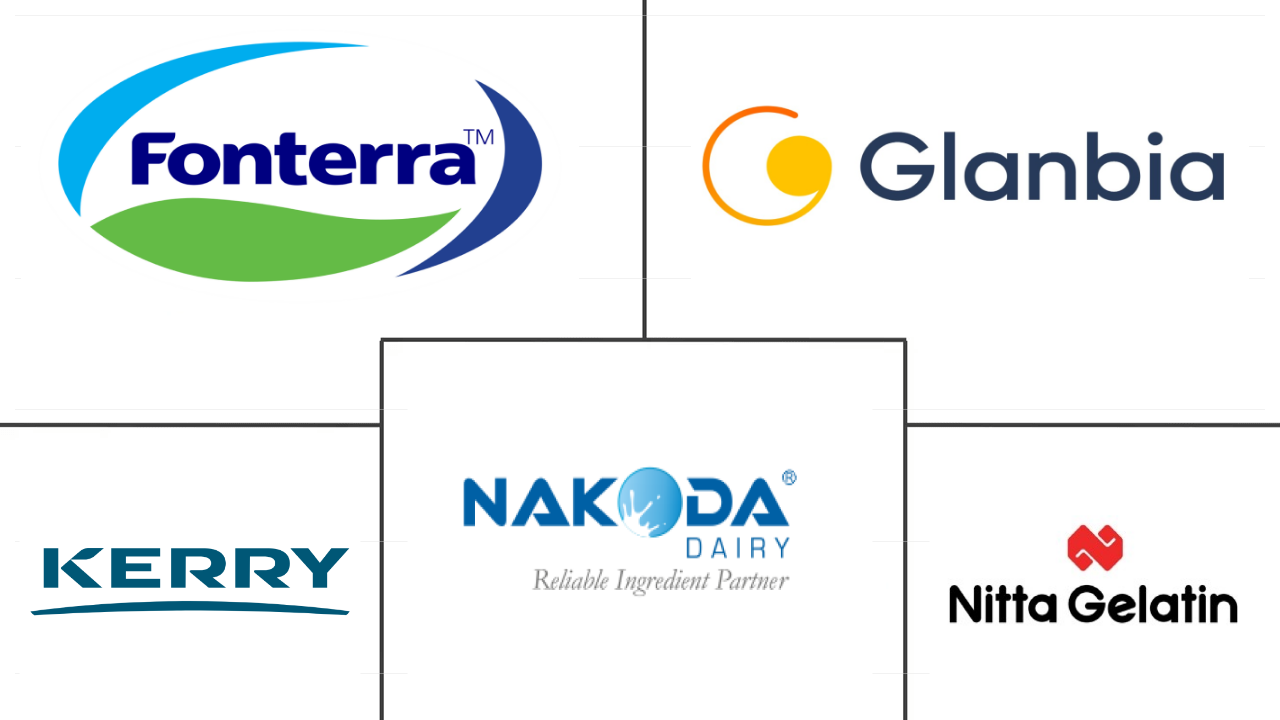 印度动物蛋白市场规模