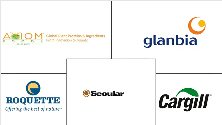 非洲豌豆蛋白市场规模