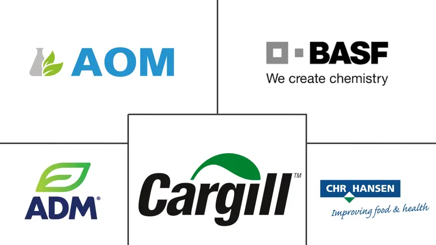 南美食品强化剂市场规模