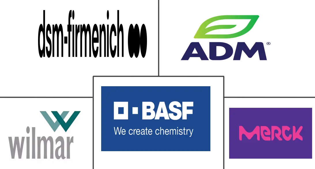 维生素 E 市场规模和份额