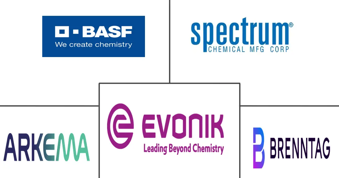 食品漂白剂市场规模和份额