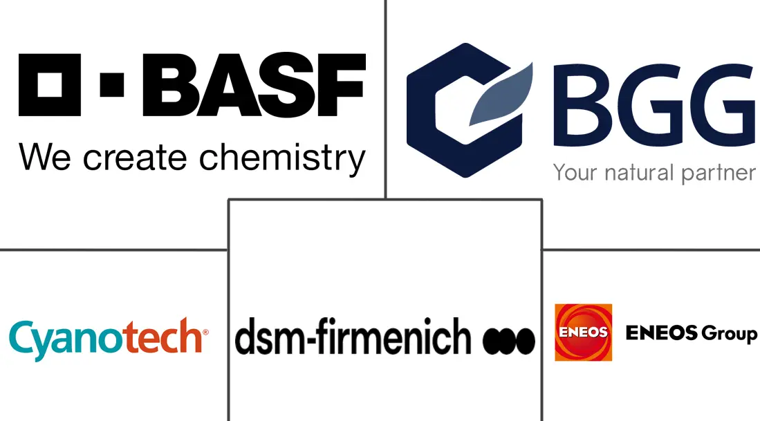 虾青素市场规模和份额