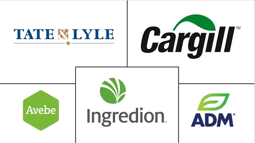 德国淀粉衍生品市场规模