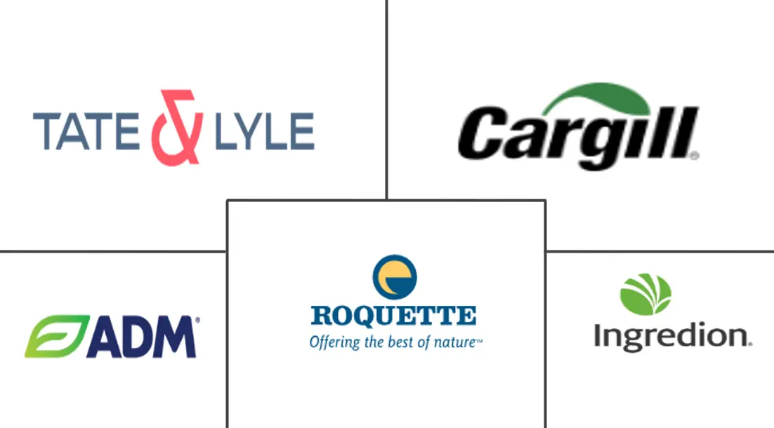 淀粉甜味剂市场规模和份额