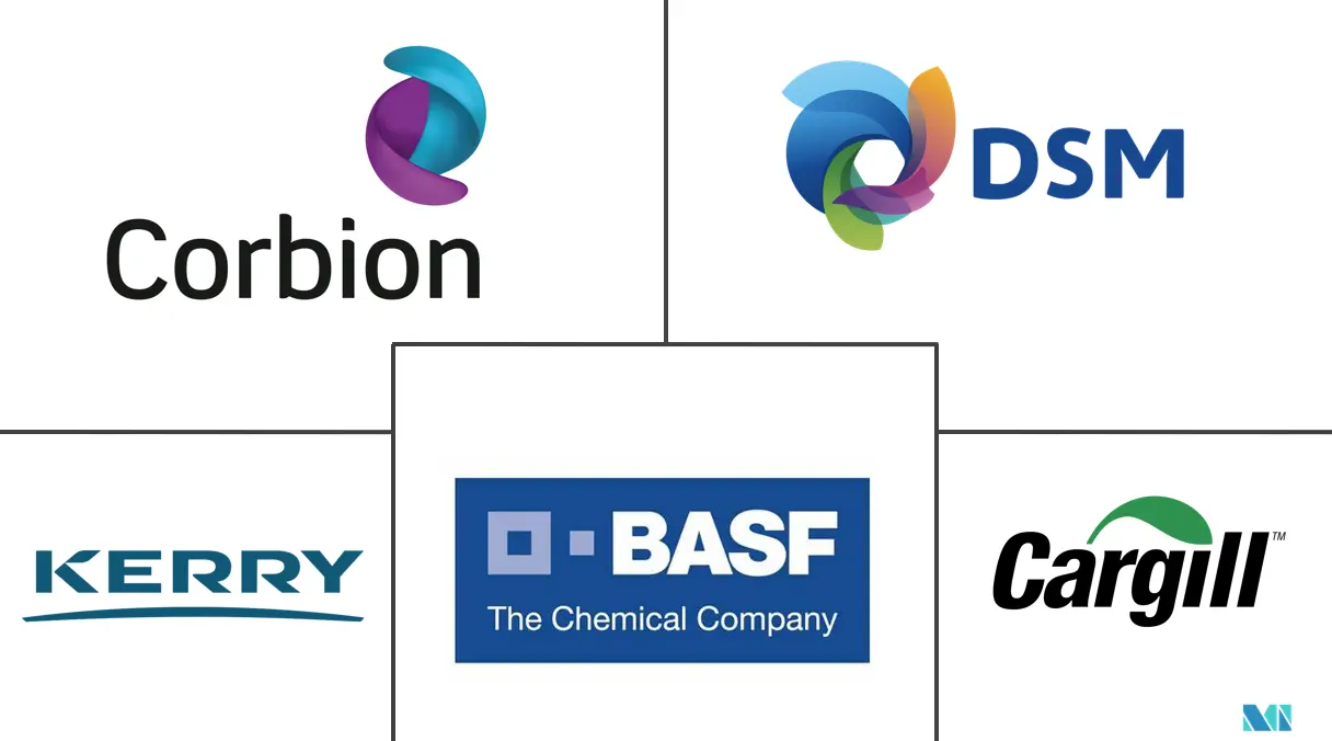 印度食品防腐剂市场规模