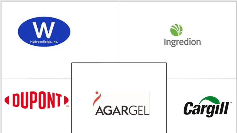 阿根廷食品亲水胶体市场规模