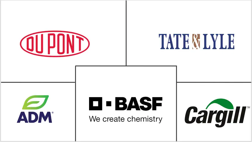 北美有机酸市场规模