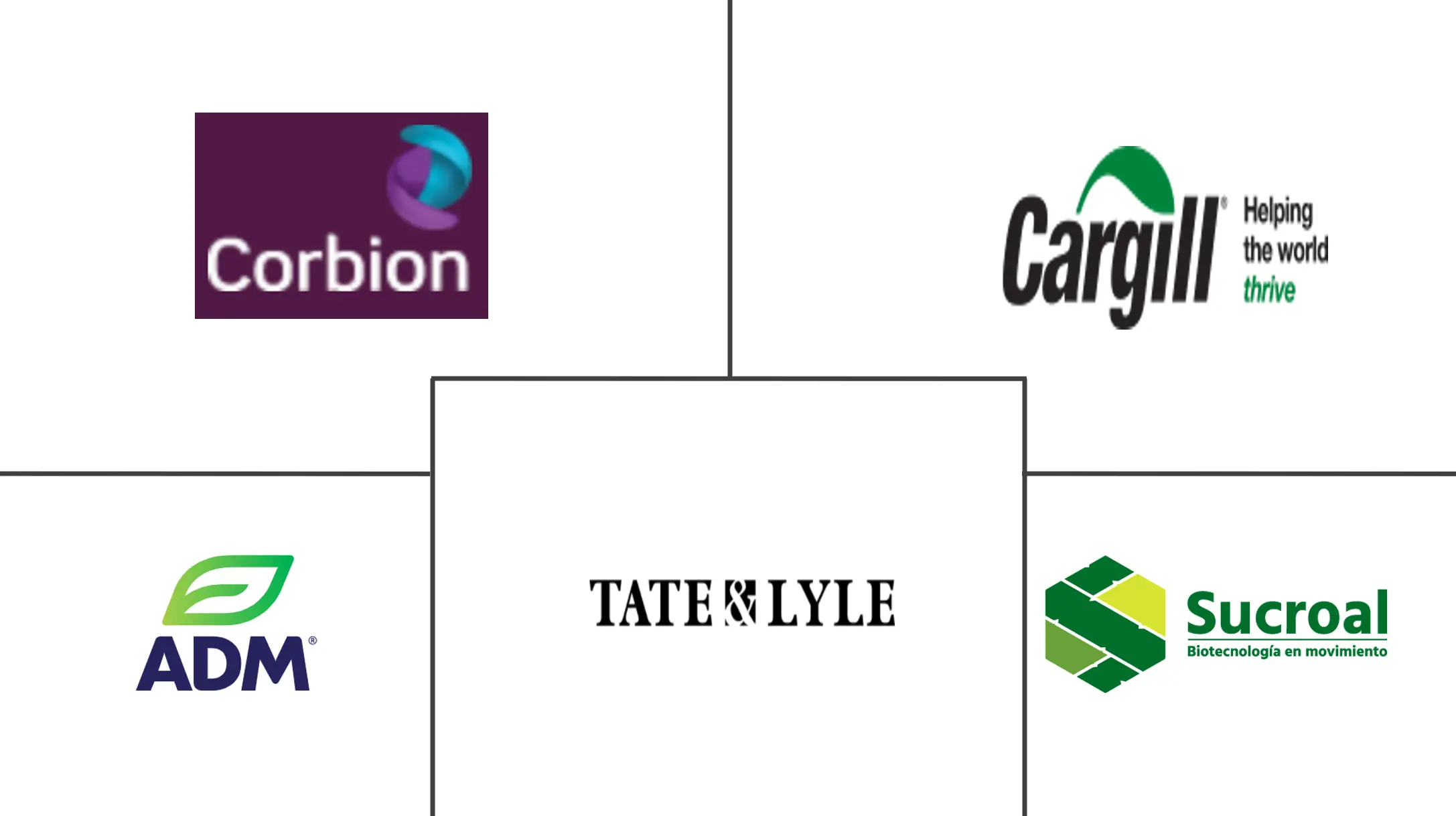 南美食品酸化剂市场规模