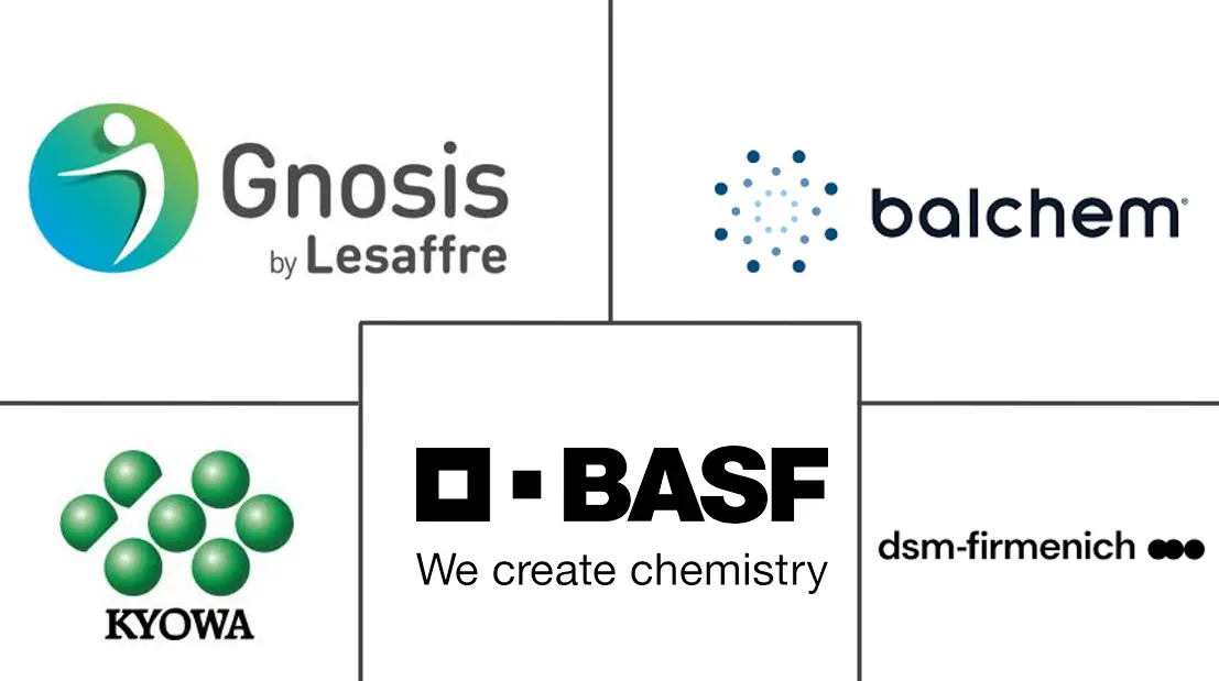 维生素 K2 市场规模和份额