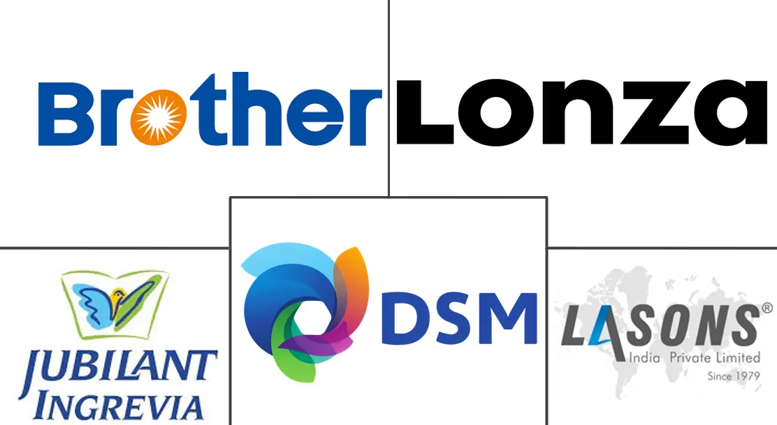 维生素 B3 市场规模和份额