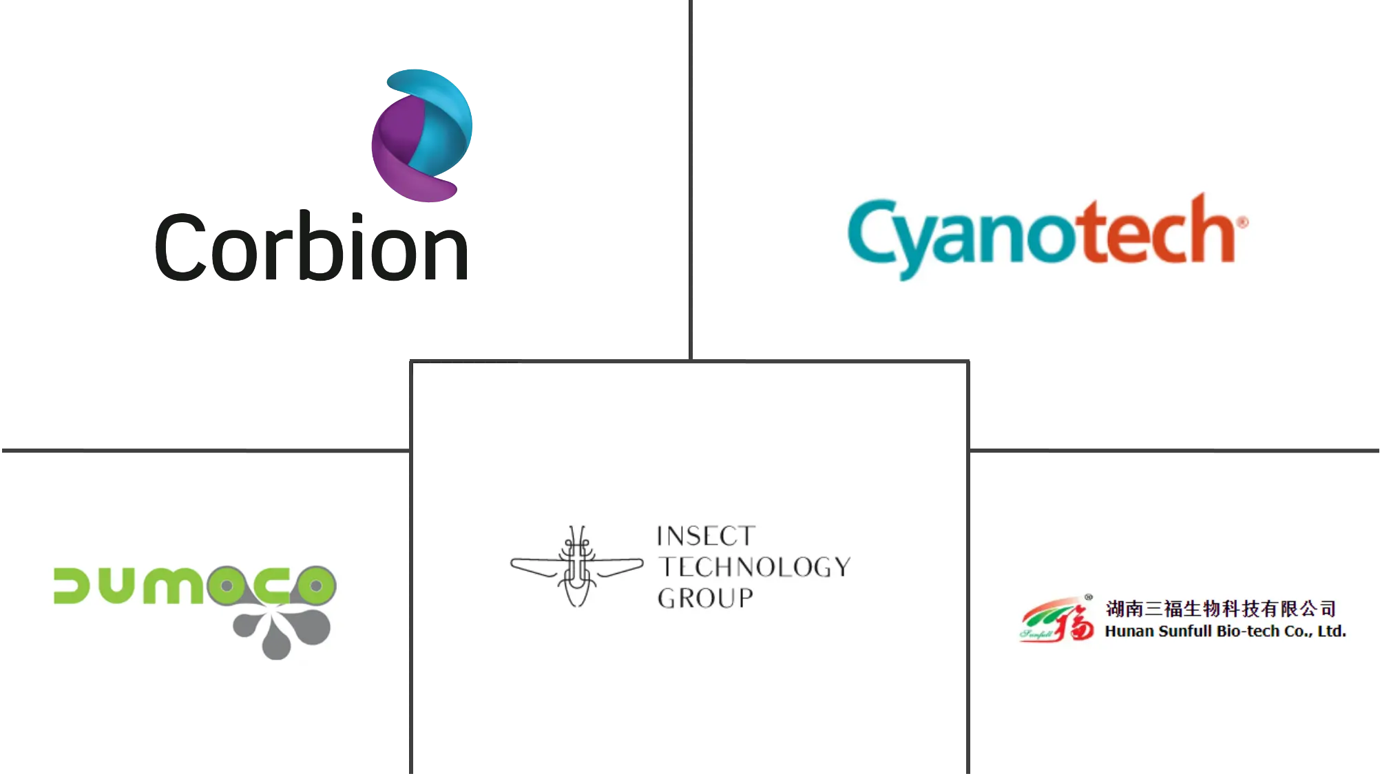 亚太地区藻类蛋白市场规模