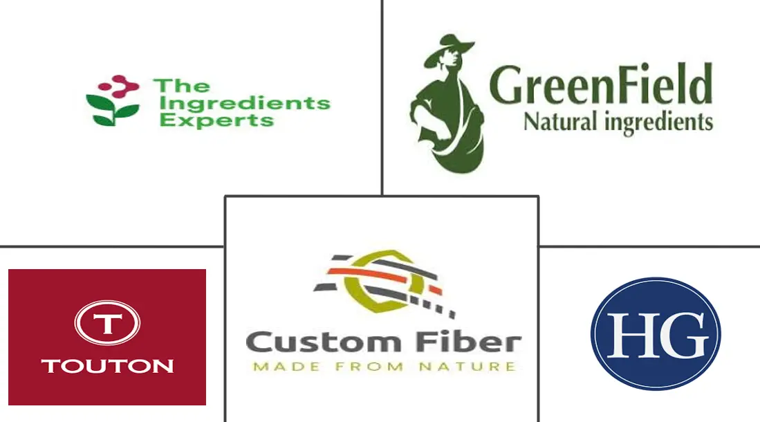 可可纤维市场规模和份额