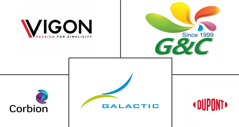 欧洲乳酸市场规模