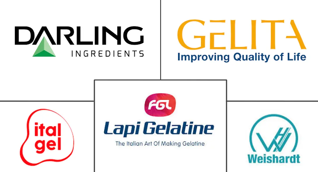 欧洲明胶市场规模