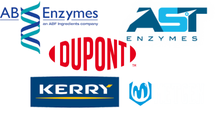 欧洲食品酶市场规模