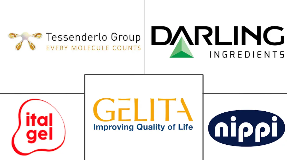 欧洲胶原蛋白市场规模和份额