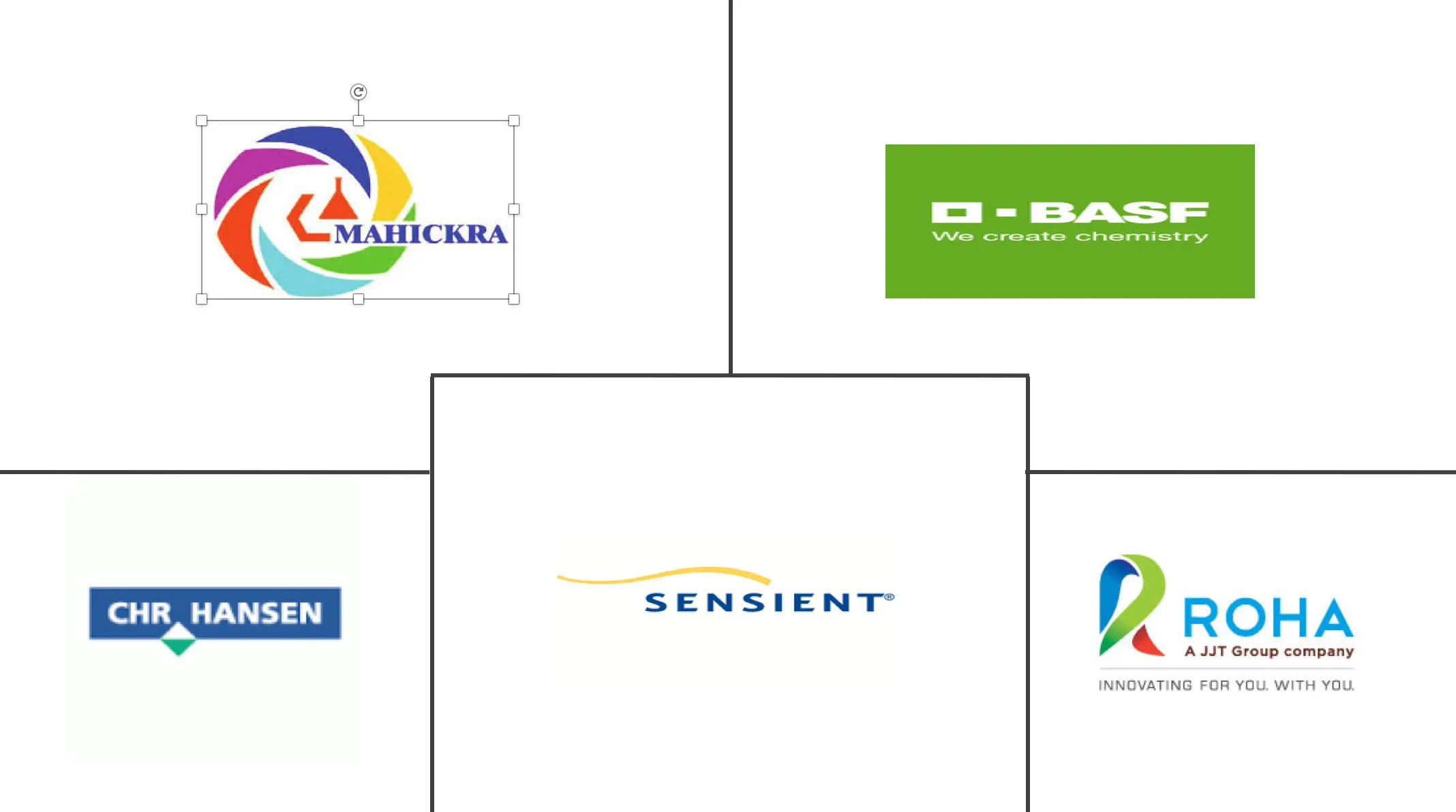 埃及食品着色剂市场规模