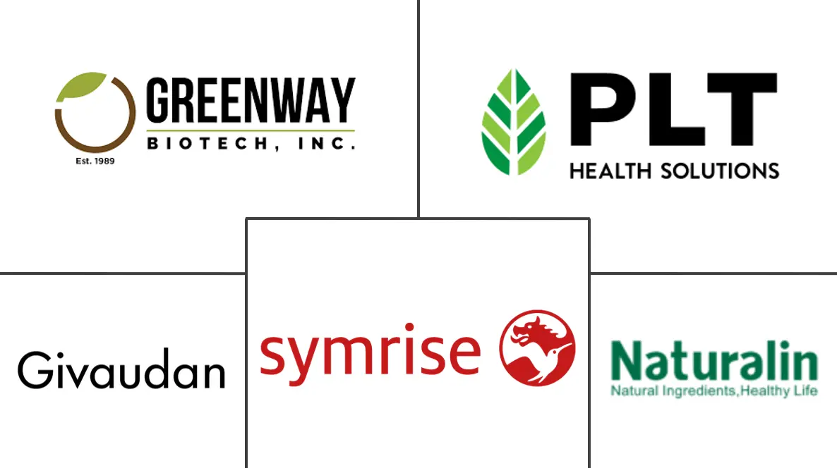 接骨木提取物市场规模和份额