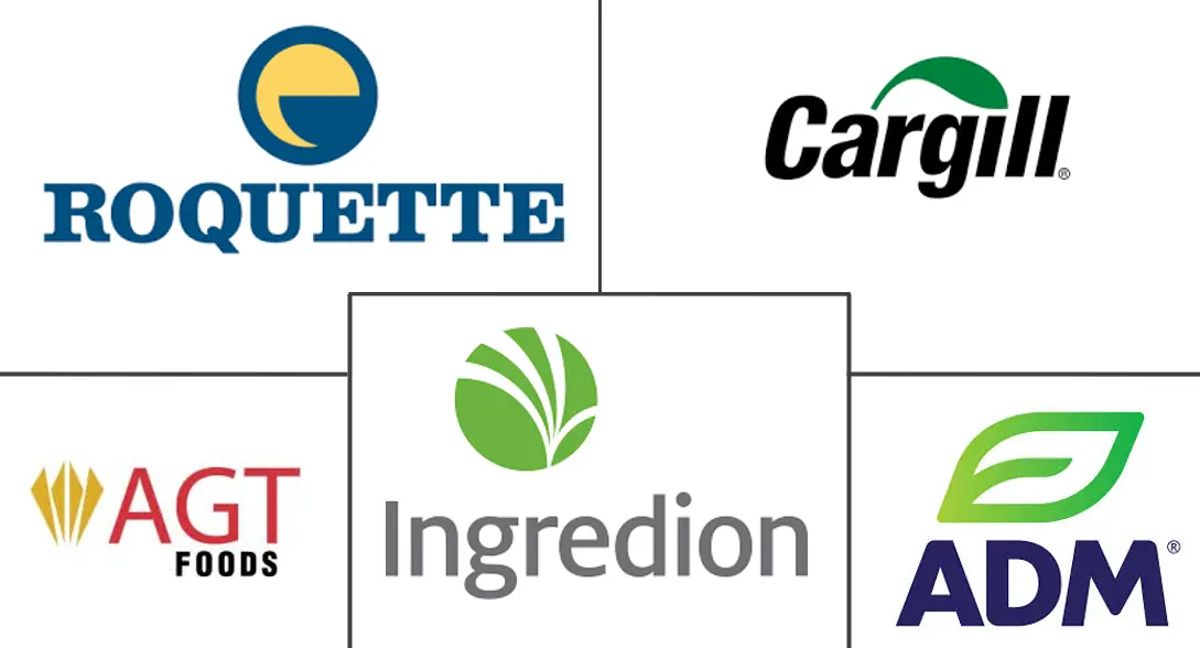 豆类原料市场规模和份额