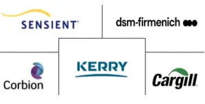 全球功能蛋白市场规模及份额