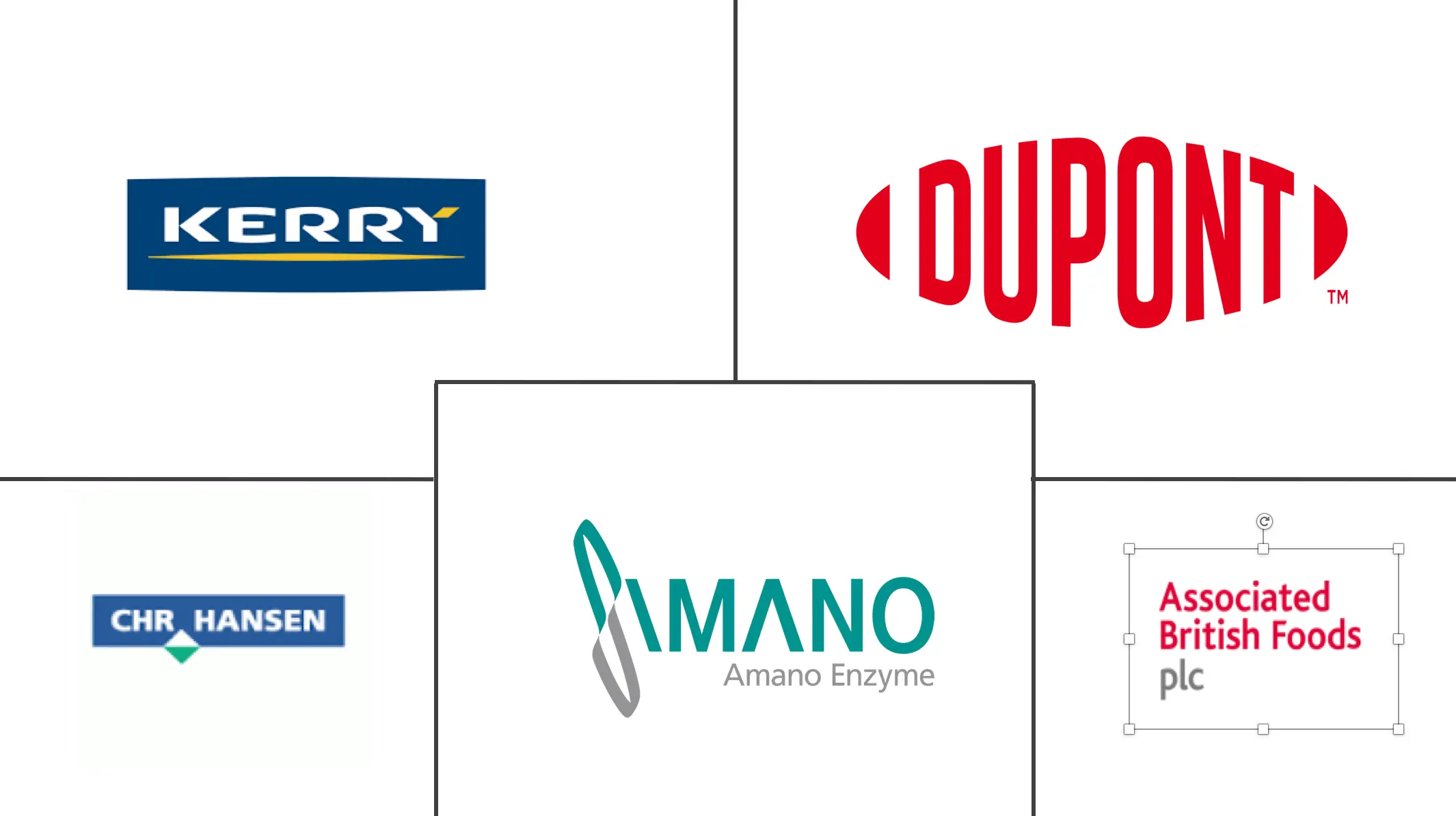 英国食品酶市场规模