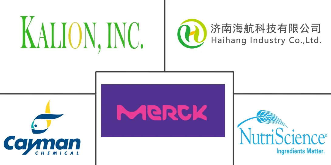 葡萄糖酸市场规模及份额