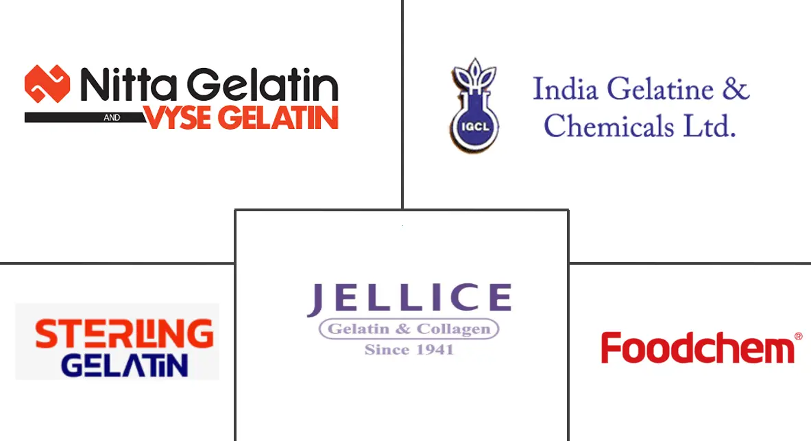 印度明胶市场规模及份额