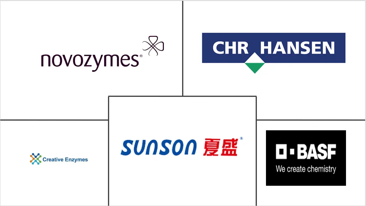 埃及食品酶市场规模