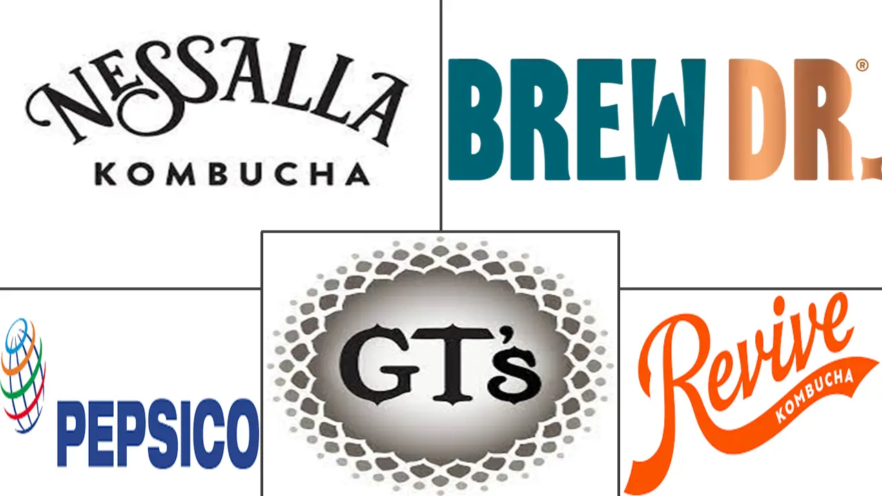 北美康普茶市场规模