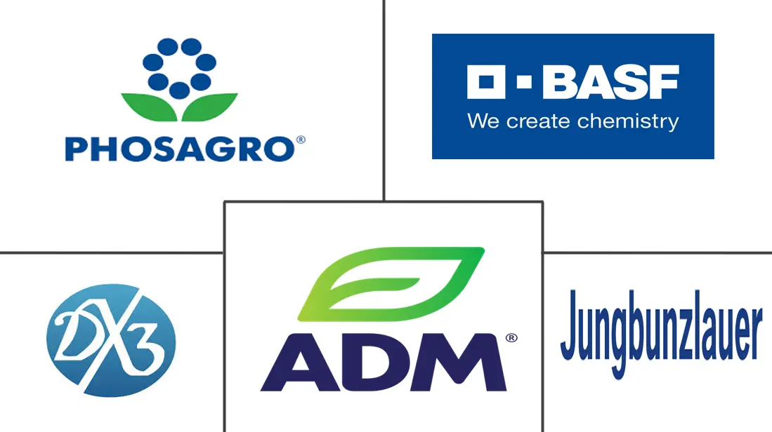 俄罗斯食品酸化剂市场规模及份额