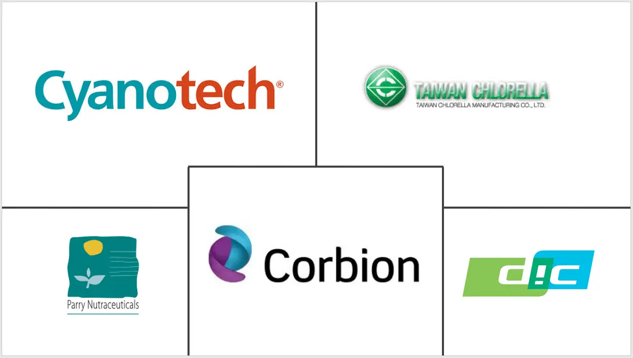 南美藻类蛋白市场规模