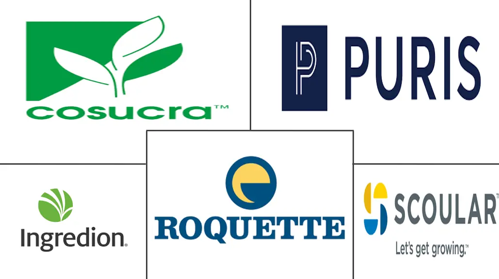 黄豌豆蛋白市场规模和份额