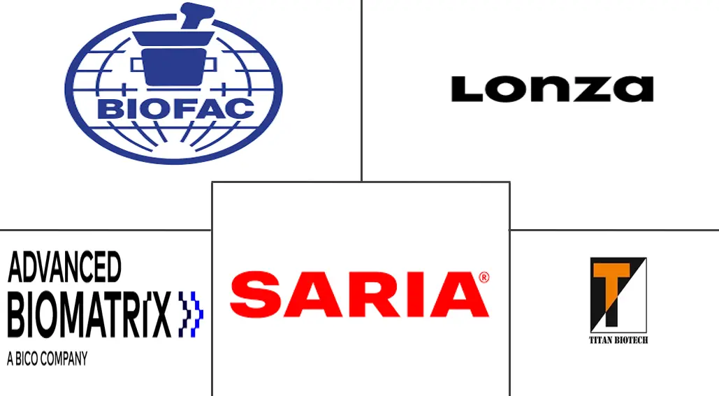 天然胶原蛋白市场规模和份额