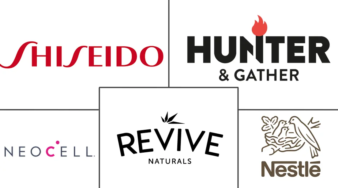 欧洲胶原蛋白补充剂市场规模和份额