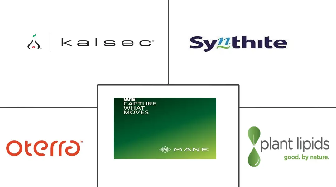 油树脂市场规模及份额