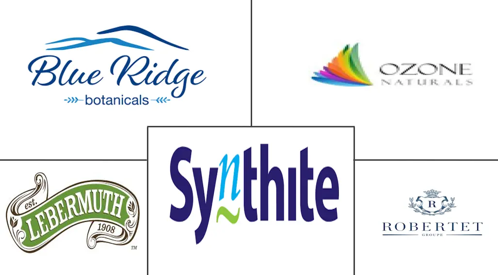 罗勒精油市场规模和份额